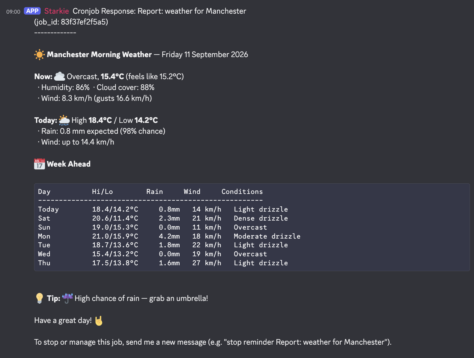 Hermes in Discord giving a morning weather report